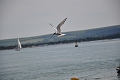 Holiday Dorset_9654_edited-1
